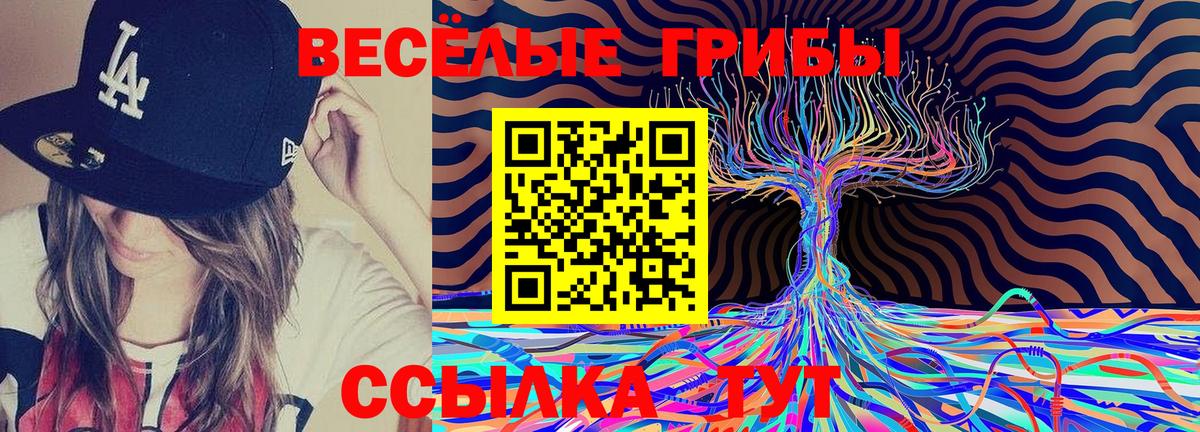 Галлюциногенные грибы MAGIC MUSHROOMS Бузулук