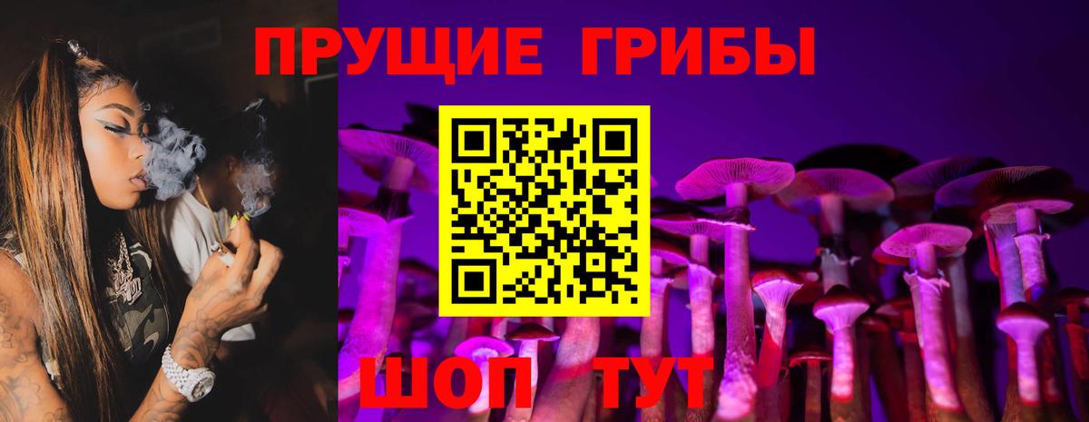 Псилоцибиновые грибы GOLDEN TEACHER  Бузулук 